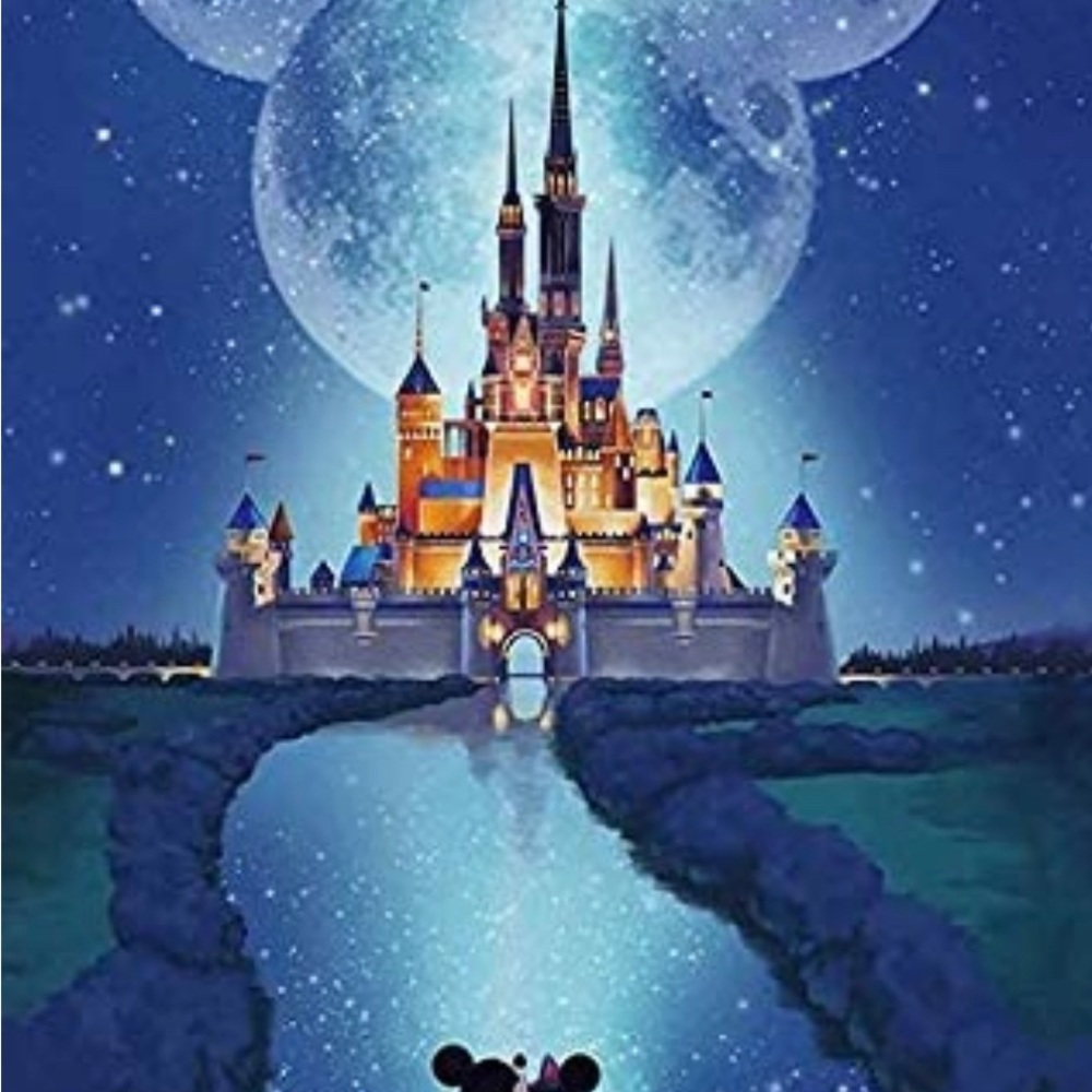 DISNEY ITEMS! 🏰🎆